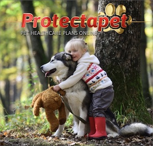 Little girl cuddling her dog and teddy bear in the woods, promoting Protectapet pet healthcare plans.